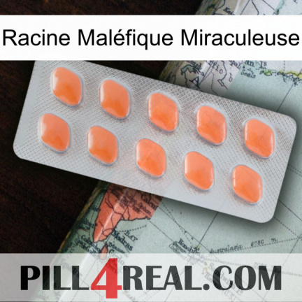 Racine Maléfique Miraculeuse 26